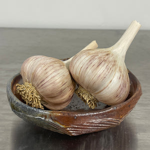 German Extra Hardy Garlic Seed Stock