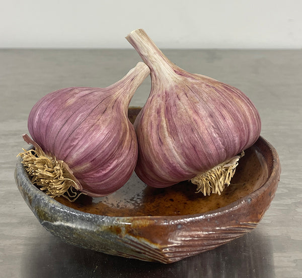 Rose de Lautrec Garlic Seed Stock-RARE