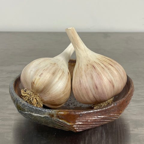 Rosewood Garlic Seed Stock-RARE